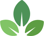 leaves-divider-1
